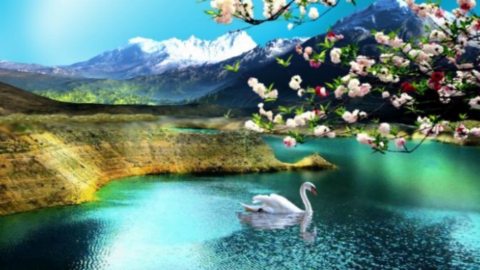 1080p Desktop Backgrounds Nature Wallpaper