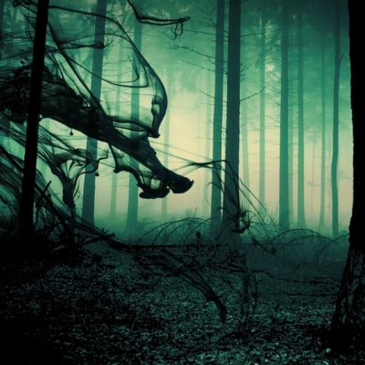 Dark Forest HD Wallpapers