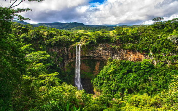 Waterfall Jungle Forest HD Wallpaper