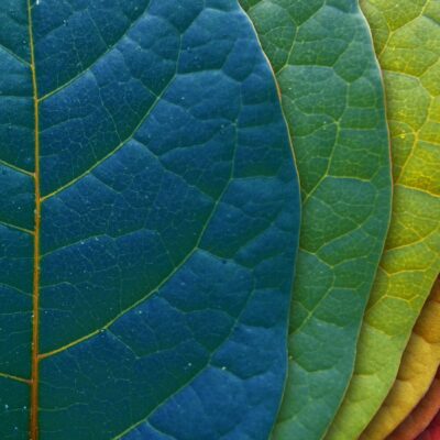 Color Swatch Nature Wallpapers Color Swatch Nature HD Wallpapers