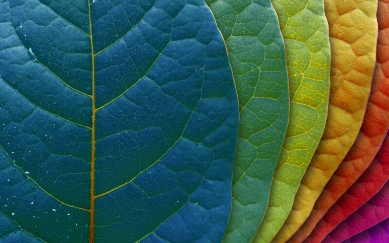 Color Swatch Nature Wallpapers Color Swatch Nature HD Wallpapers