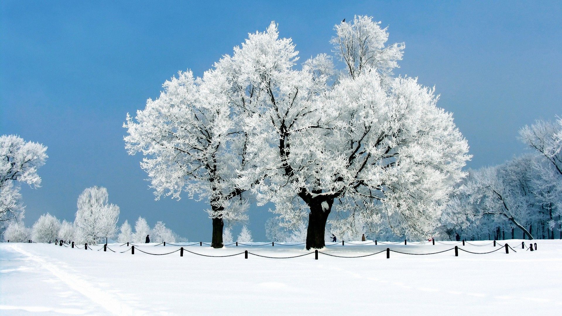 free download winter HD wallpapers